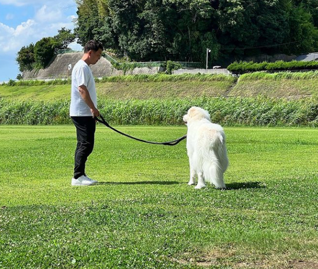 代表取締役 中村陽太