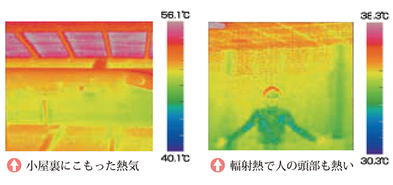 風之介
